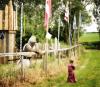 Templecombe Medieval Pageant gallery