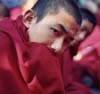 Free Tibet 2004 gallery