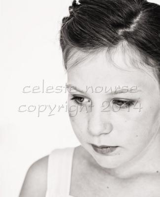 Preparations gallery