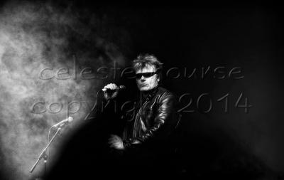The Rezillos gallery