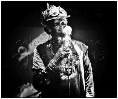 Lee Scratch Perry 2015 gallery