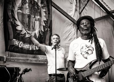 Tolpuddle Festival 2016 gallery